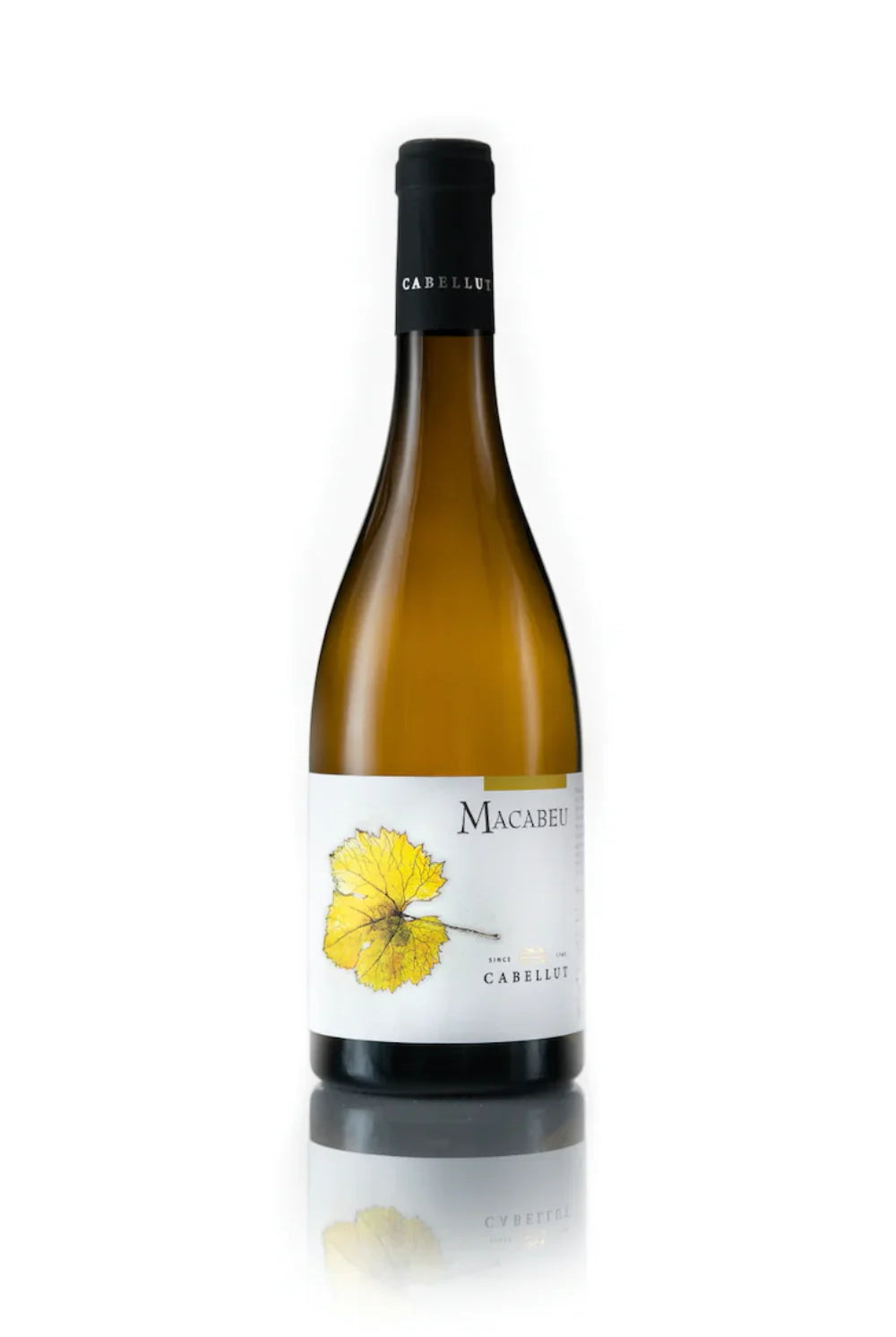 Macabeu Rich White WineMacabeu Rich White Wine