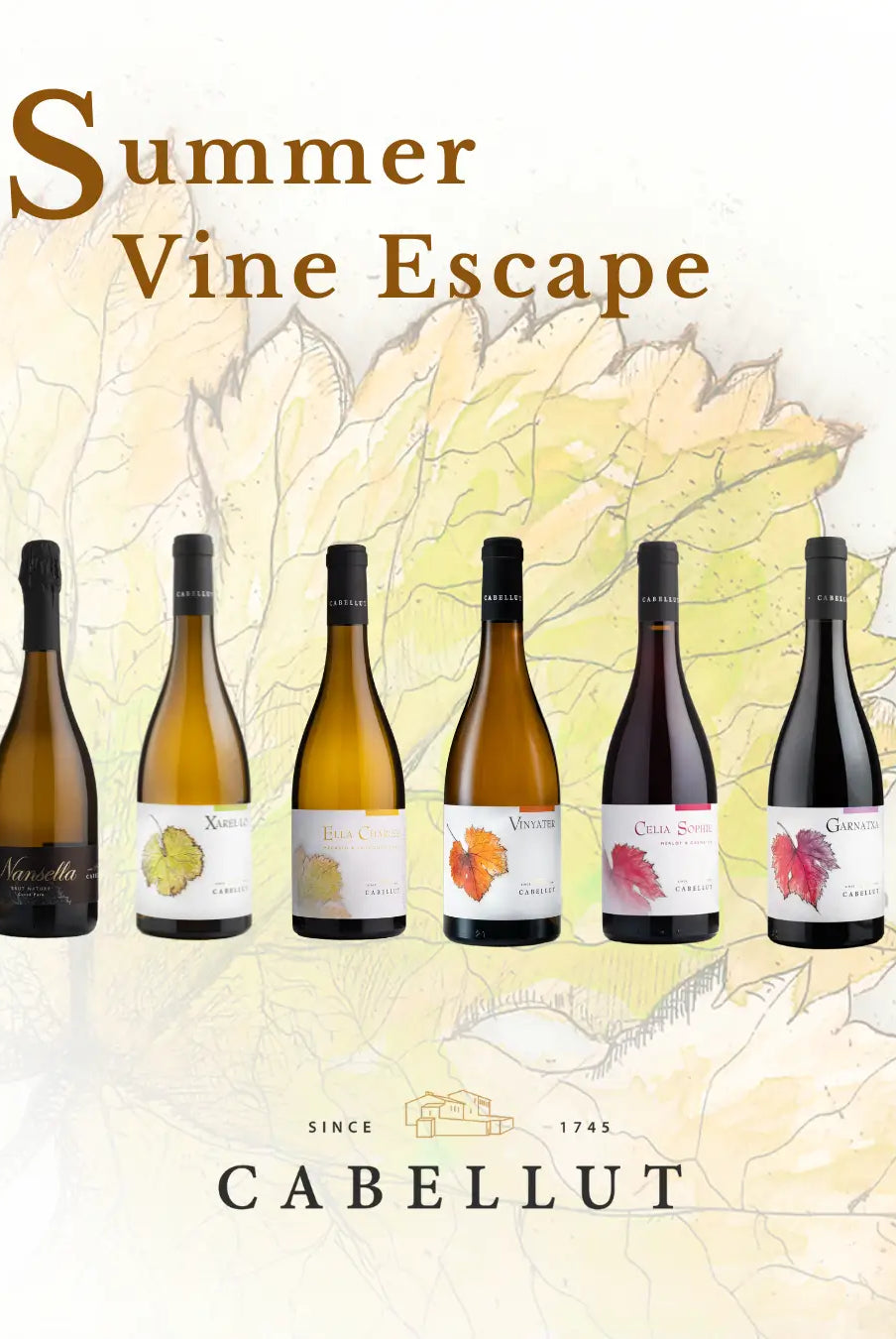 Summer Vine Escape: Summer Set