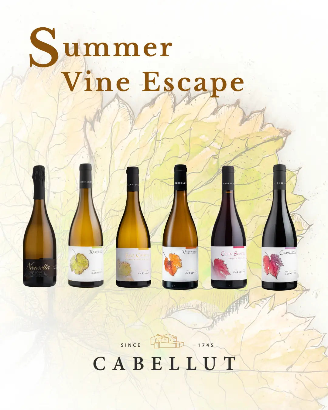 Summer Vine Escape: Summer Set