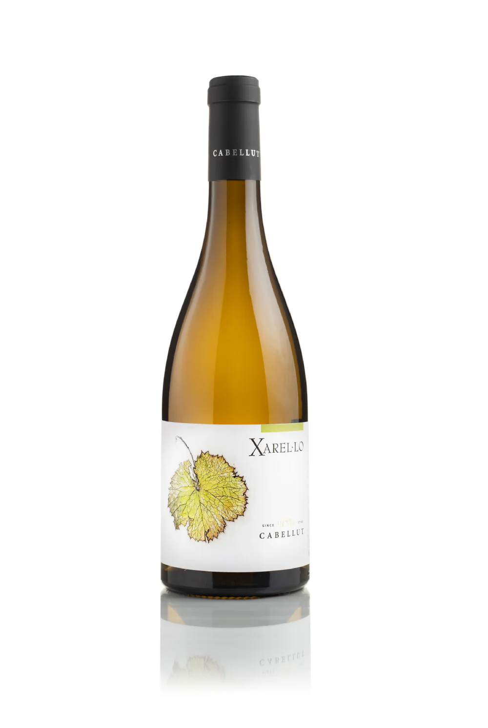 Xarel.lo Mineral White Wine