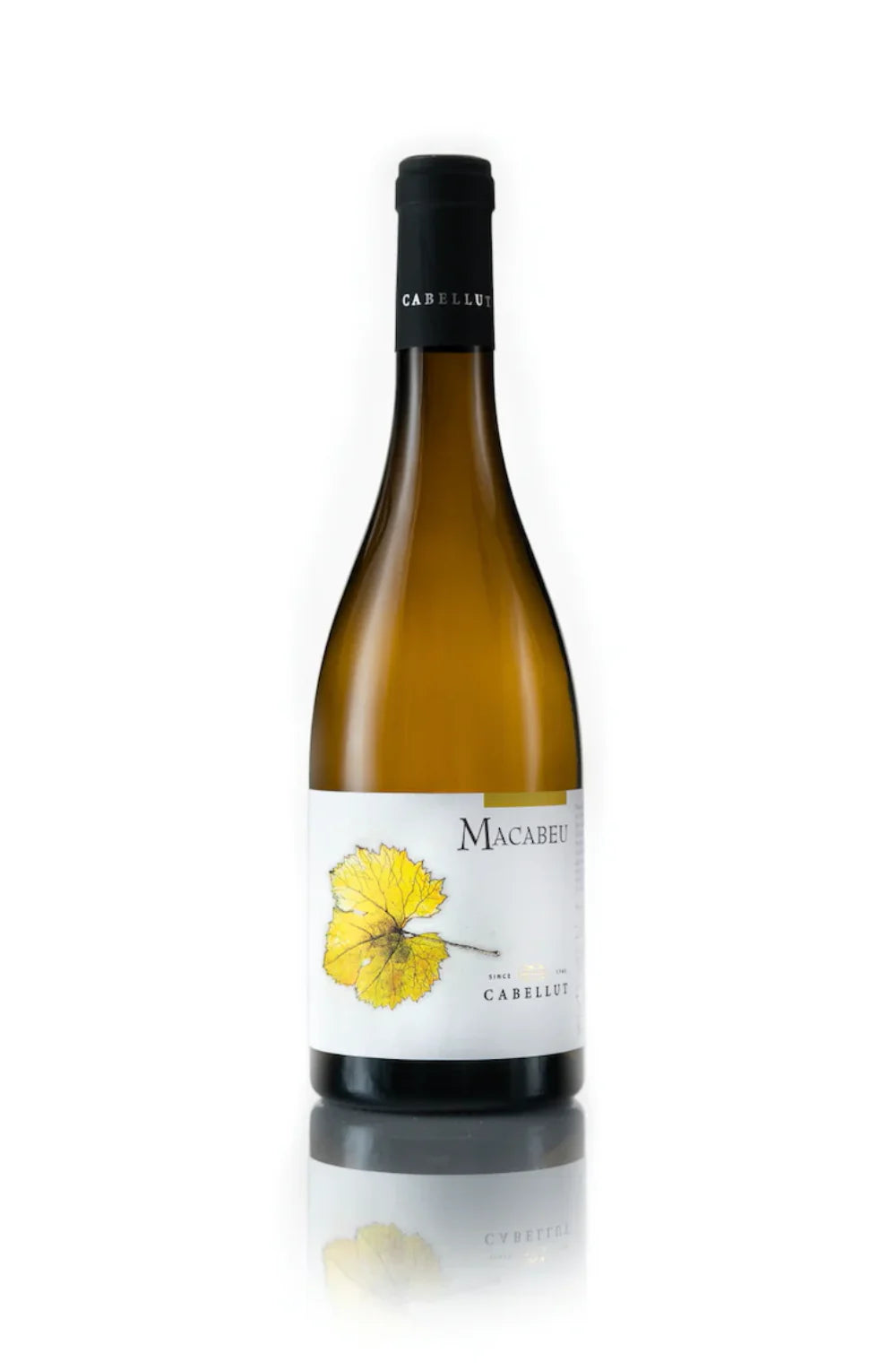 Macabeu Rich White WineMacabeu Rich White Wine